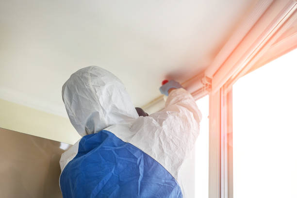 Environmental Consulting for Mold Prevention in Stony Prairie, OH