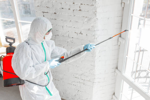 Best Comprehensive Air Testing for Mold Contaminants  in Stony Prairie, OH