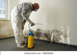 Best Industrial Mold Remediation  in Stony Prairie, OH